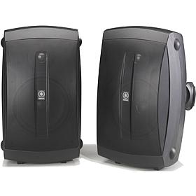 130W All-Weather Speaker System - Black