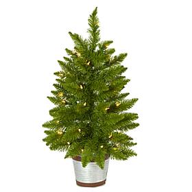 2 ft. Providence Pine Artificial Christmas Tree in Decorative Plant...