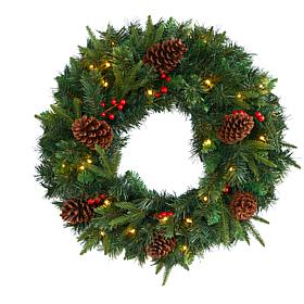 24 in. Mixed Pine Artificial Christmas Wreath with 35 Clear LED Lig...