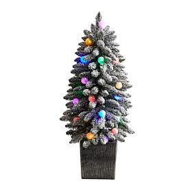 3’ Flocked Highland Fir Christmas Tree in Decorative Planter
