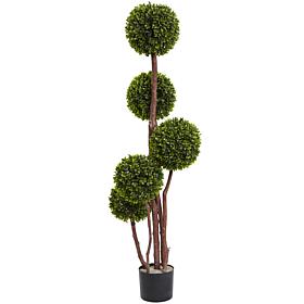 4 Ft. Boxwood Five Ball Topiary 