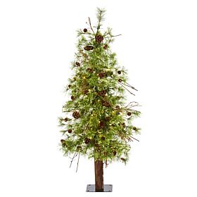 4' Wyoming Alpine Artificial Christmas Tree with 50 Clear multifunc...