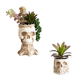 5.5-in and 9-in Succulent Garden - Set of 2 by Nearly Natural