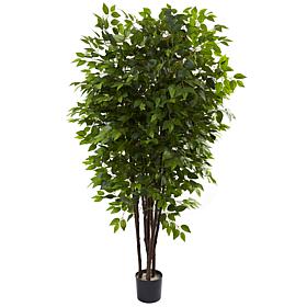 6.5 Ft. Deluxe Ficus Tree