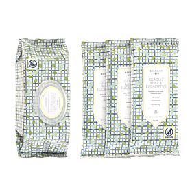 Beekman 1802 Goat Milk 4-piece Mint & Eucalyptus Cleansing Wipes Set