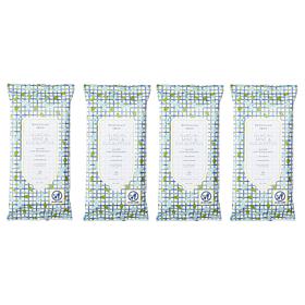 Beekman 1802 Goat Milk Glacial Mint & Eucalyptus Face Wipes 4-pack AS