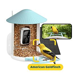 BIRDFY AI Auto Capture Motion Detection Solar Powered Bird Feeder