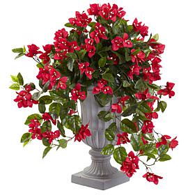 Bougainvillea with Urn