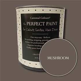 Caromal Colours Perfect Paint with Roller Set