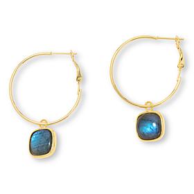 Connie Craig Carroll Jewelry Gemstone Drop Hoop Earrings