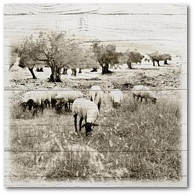 Courtside Market In The Fields 12x18 Canvas Wall Art