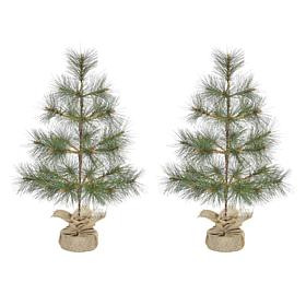 Fraser Hill Farm 3-ft. Farmhouse Fir Christmas Tree with Burlap Bag...