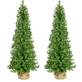 Fraser Hill Farm 4-Ft. Boxwood Porch Tree in Burlap Bag, Set of 2