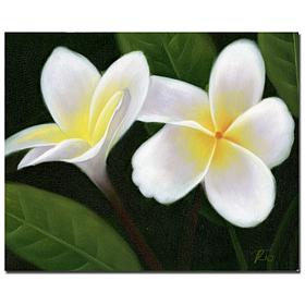 Giclee Print - Hawaiian Lei Flowers' Ready to Hang