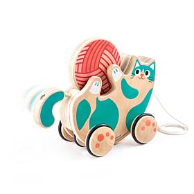 Hape Walk-A-Long Roll and Rattle Kitten, Teal