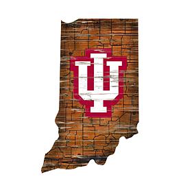 Indiana Distressed State with Logo