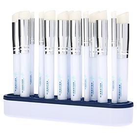 Kingston Crafts Set of 15 Assorted Brushes and Storage Unit