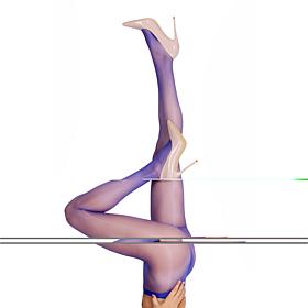 LECHERY Lustrous Silk Shiny 20 Tights 1-Pair