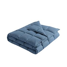 Lotus Home Stain Resistant Bacteria Inhibiting Throw, 50" x 70"