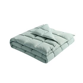 Lotus Home Stain Resistant Bacteria Inhibiting Throw, 50" x 70"