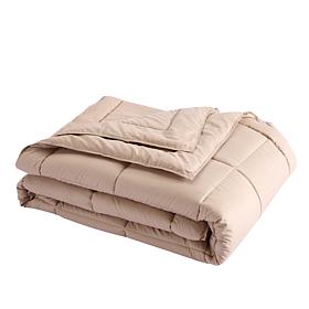 Lotus Home Stayclean Bacteria Reducing Down Alternative Blanket - King