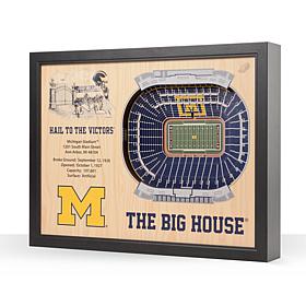 NCAA Michigan Wolverines StadiumViews 3-D Wall Art - Michigan Stadium 
