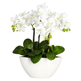 Nearly Natural 15" Phalaenopsis with White Vase
