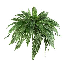 Nearly Natural 48" Boston Fern Set of 2
