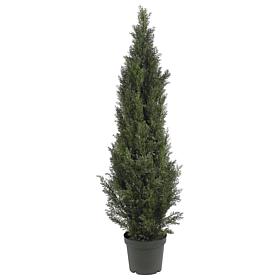 Nearly Natural 5' Mini Cedar Pine Tree