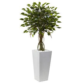 Nearly Natural 52" UV Resistant Ficus Tree with White Planter