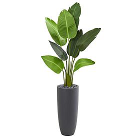 Nearly Natural 5.5 ft. Traveler Palm Artificial Tree in Gray Planter