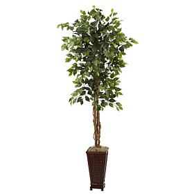 Nearly Natural 6' 5" Ficus with Decorative Planter