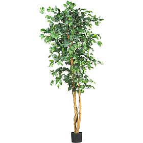 Nearly Natural 6 Ft. Ficus Silk Tree