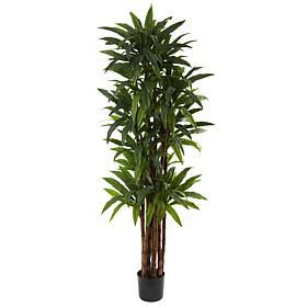 Nearly Natural 6.5 ft. 8-Trunk Dracaena Tree with 214 Leaves