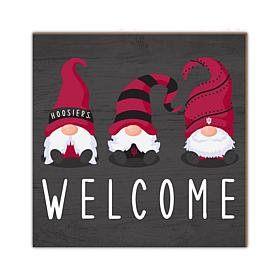 Officially Licensed NCAA Indiana University Welcome Gnomes Sign