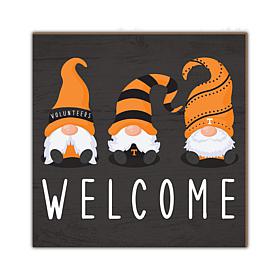 Officially Licensed NCAA University of Tennessee Welcome Gnomes Sign