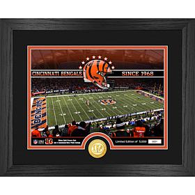 Officially Licensed NFL Bengals Stadium Bronze Coin Photo Mint