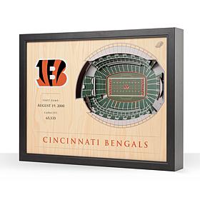 Officially Licensed NFL Cincinnati Bengals StadiumView 3D Wall Art