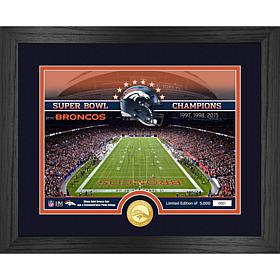Officially Licensed NFL Denver Broncos Stadium Photo Mint