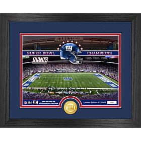 Officially Licensed NFL New York Giants Stadium Photo Mint