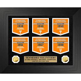 Officially Licensed Ntl Champions Deluxe Banner Collect - Volunteers