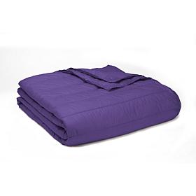 PUFF Indoor/Outdoor Quilted Nylon Water Resistant Blanket, King