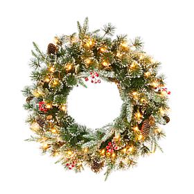 Puleo Intl. Pre-Lit 24" Decorated Christmas Wreath w/ 50 Lights, Green