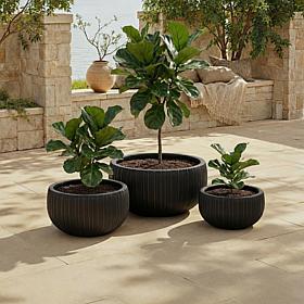 Safavieh Anita 3-Piece Fiber Clay Planter Pots