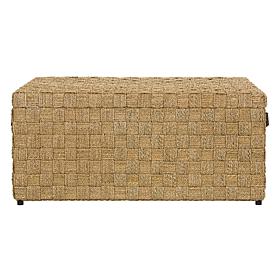 Safavieh Ashban Trunk