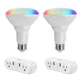 Smart WiFi BR30 E26 Dimmable Flood Light Bulb LB1 - 11W - 2PK