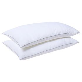 South Street Loft 2-Pack King Comfort Pillows