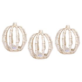 Spooky Lane Set of 3 LED Skeleton Pumpkins 