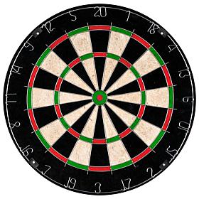 Toy Time 18" Tournament Sized Dartboard