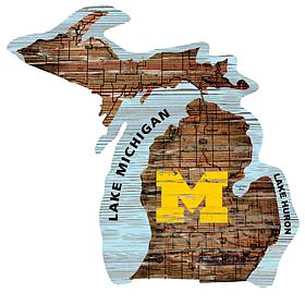 University of Michigan State Distressed State with Logo